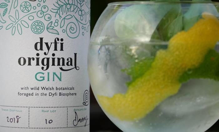 Dyfi Original Gin